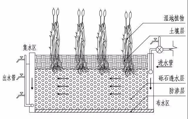 人工湿地污水处理工艺