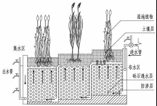 人工湿地污水处理工艺