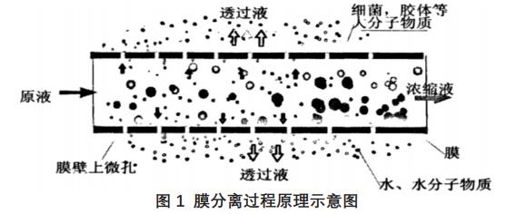 电镀废水处理技术